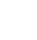 icono security